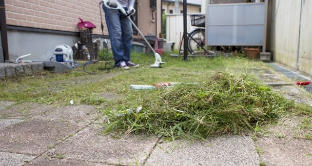 庭の蟻にお悩みの方へ 駆除の方法を岐阜の業者が解説します 揖斐川庭石センターblog